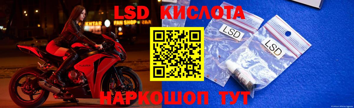 blacksprut ссылка  Вход с VPN  Лсд 25 экстази кислота  Лсд 25 экстази  Елабуга  ЛСД экстази кислота 
