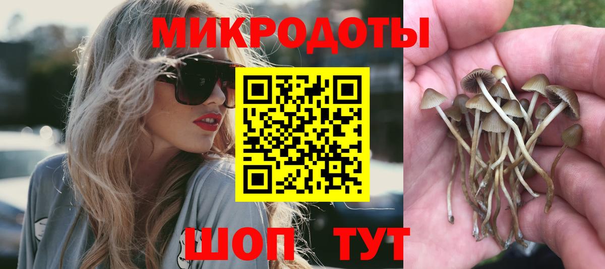 Галлюциногенные грибы Psilocybe  Вход с VPN  Елабуга 